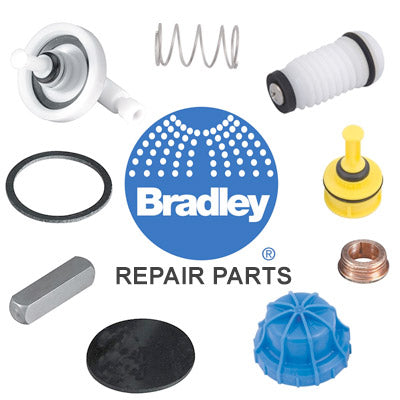 Bradley&reg; 161-026 Hex Nut, For Use With Infrared Sensor and Sprayhead Assembly, 1/4-20, Nut Accessory